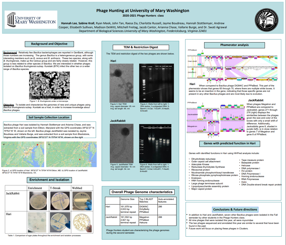 Phage Hunters Poster Research and Creativity Day 2021