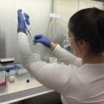 Sofia Szczepankiewicz works in the lab