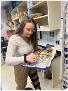 Student works with shards of pottery on a newspaper in the archeology wet lab