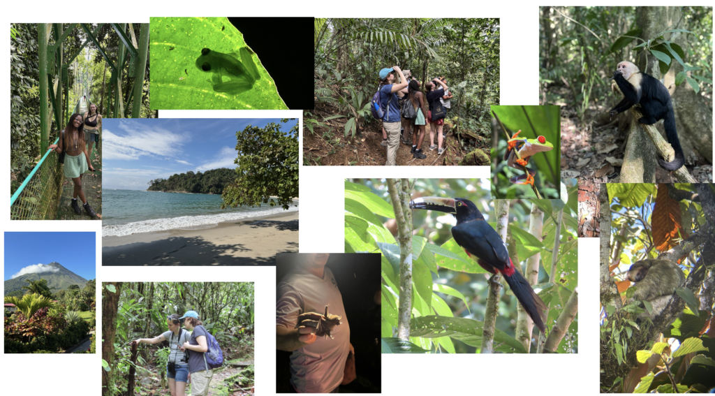 Photo collage containing pictures from a trip to Costa Rica. Includes a bird, monkey, frogs, sloths, and group photos.