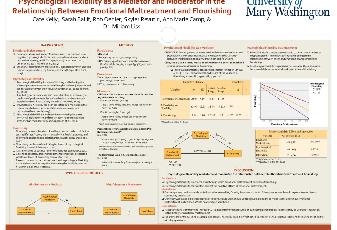 Research Poster by Dr. Miriam Liss and her 2023-