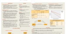 Research Poster by Dr. Miriam Liss and her 2023-